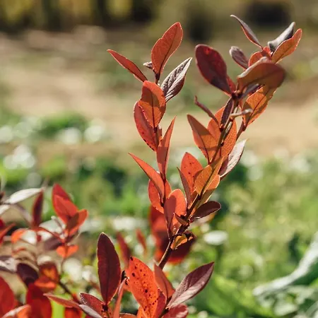 Turistico La Alegria De La Huerta 펜션 Cepeda