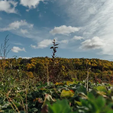 Turístico La Alegría De La Huerta Casa de Férias Cepeda