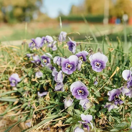 Turístico La Alegría De La Huerta Casa de Férias