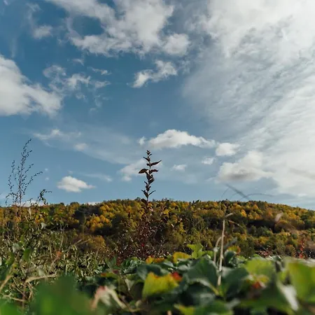 Casa de Férias Turístico La Alegría De La Huerta *