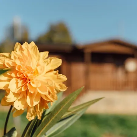 Casa de Férias Turístico La Alegría De La Huerta