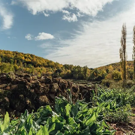 Turístico La Alegría De La Huerta Casa de Férias