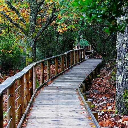 Casa de Férias Turístico La Alegría De La Huerta