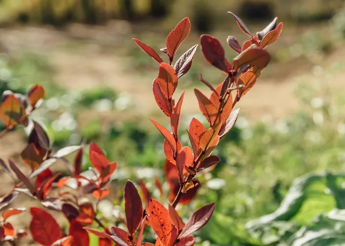 Turístico La Alegría De La Huerta Casa de Férias Cepeda