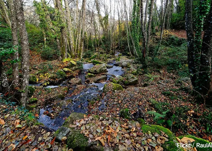 Turistico La Alegria De La Huerta