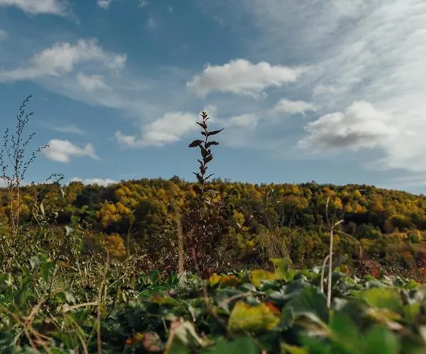 Turistico La Alegria De La Huerta 펜션 Cepeda