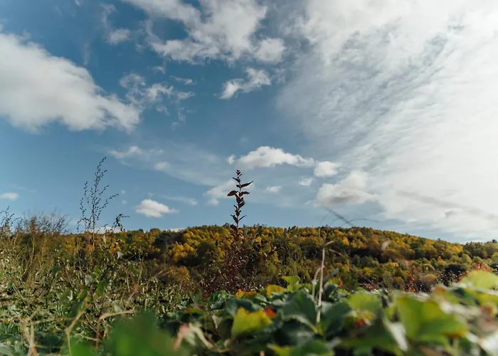 펜션 Turistico La Alegria De La Huerta *