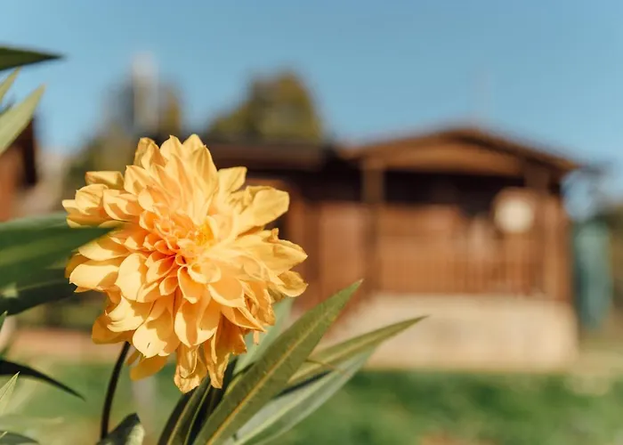 펜션 Turistico La Alegria De La Huerta