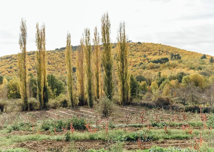 펜션 Turistico La Alegria De La Huerta