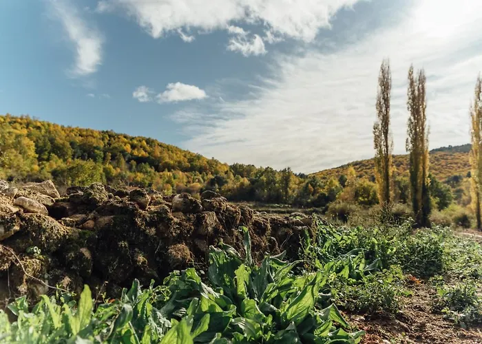 Turistico La Alegria De La Huerta 펜션