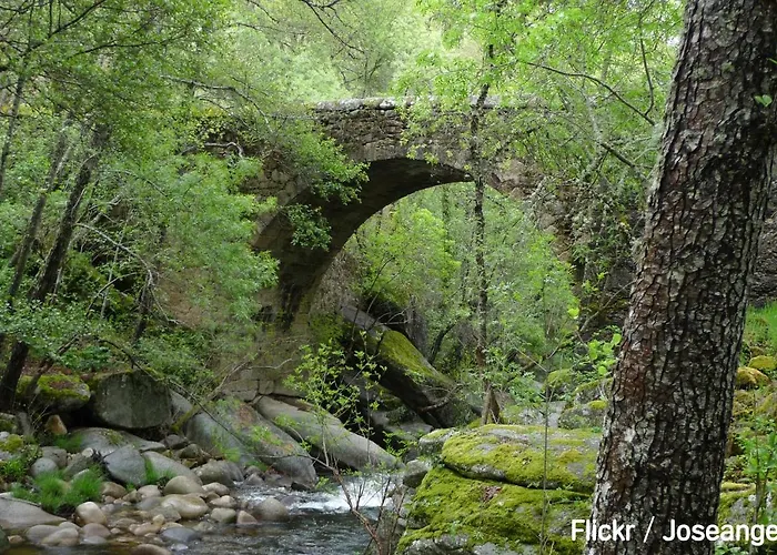 Turistico La Alegria De La Huerta 펜션